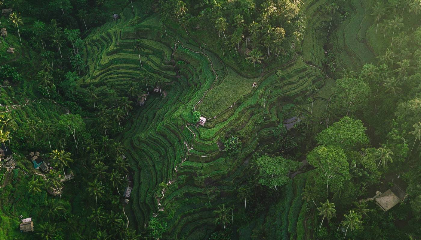 Rain clouds over a lush Bali jungle valley
