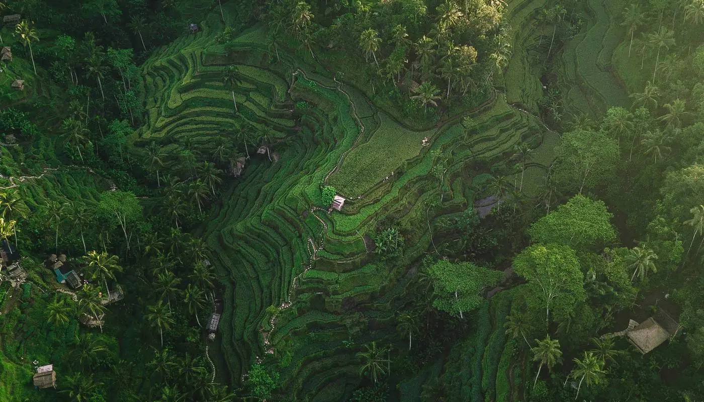 Rain clouds over a lush Bali jungle valley