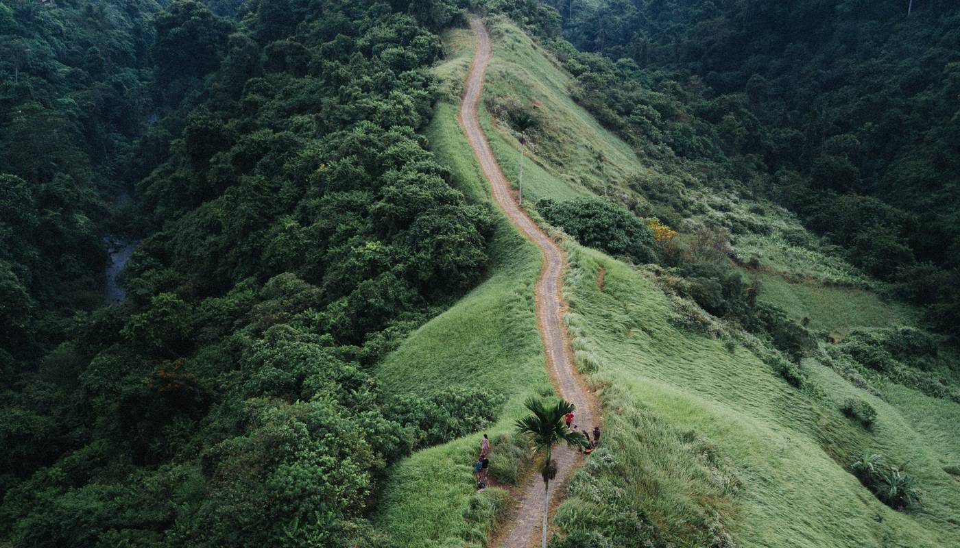 Aerial view of rice terraces near Ubud