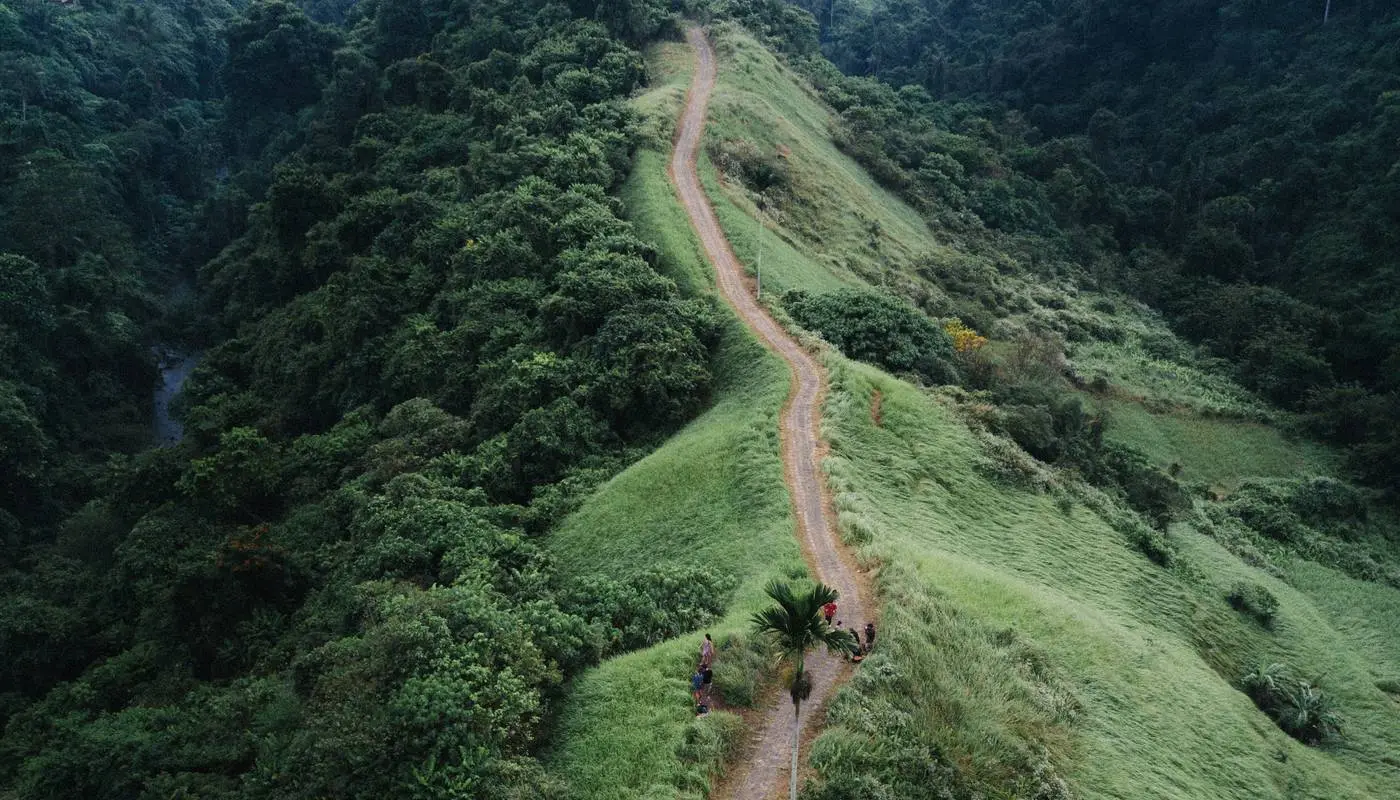 Aerial view of rice terraces near Ubud