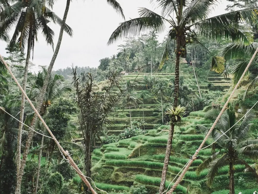 ATV ride through the Ubud jungle — Bali (1)