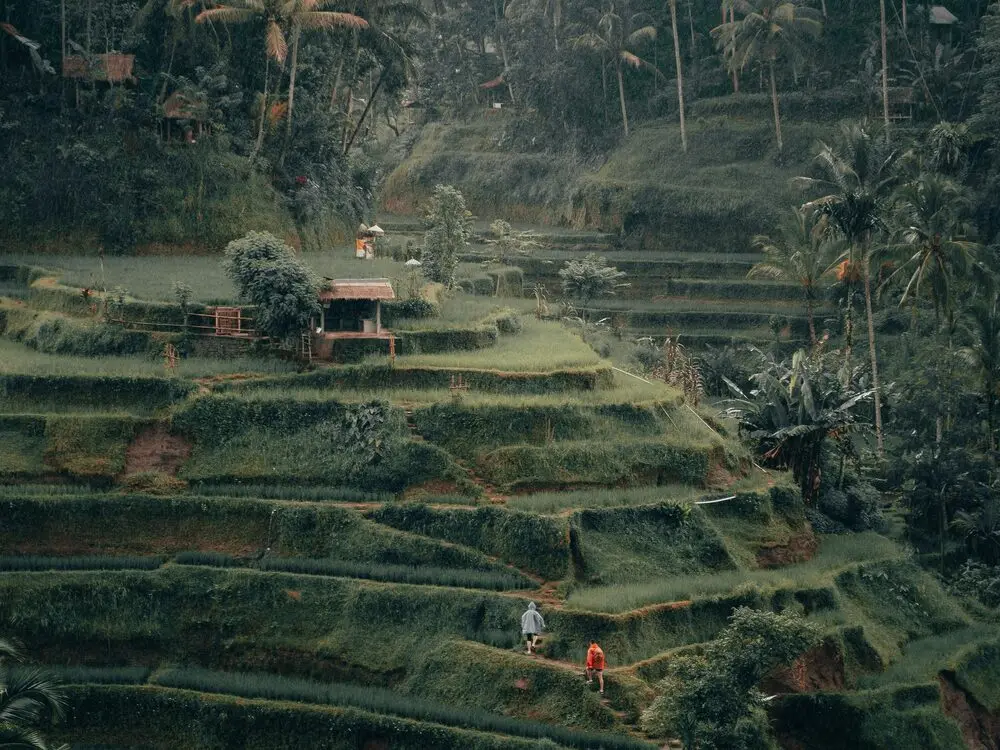 ATV ride through the Ubud jungle — Bali (4)