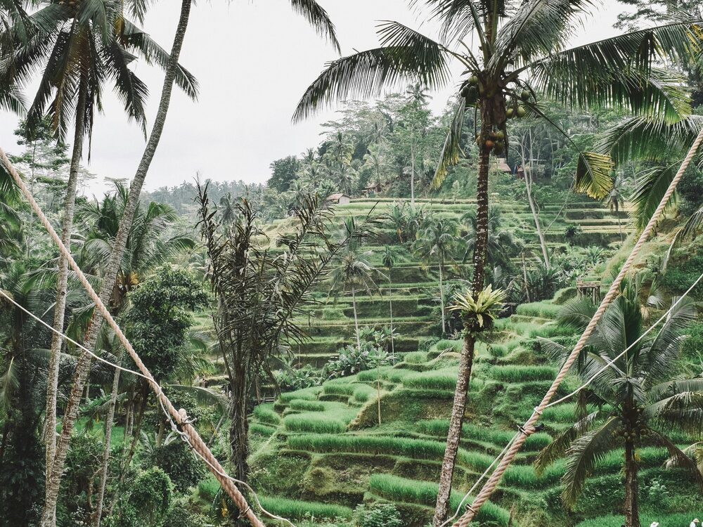 Ayung River rafting — Bali (4)