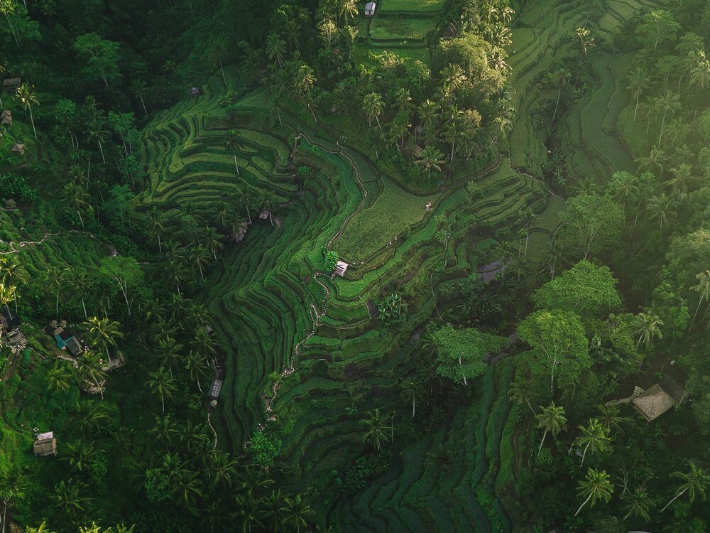 Bali waterfalls — Bali (2)