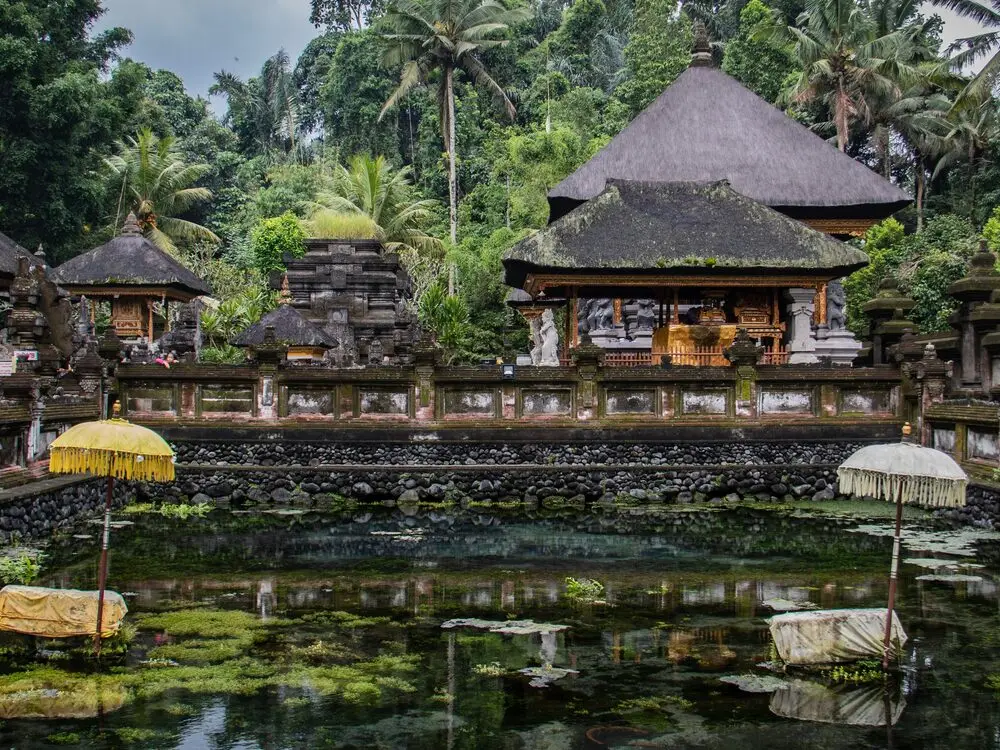 Ubud highlights — Bali (2)